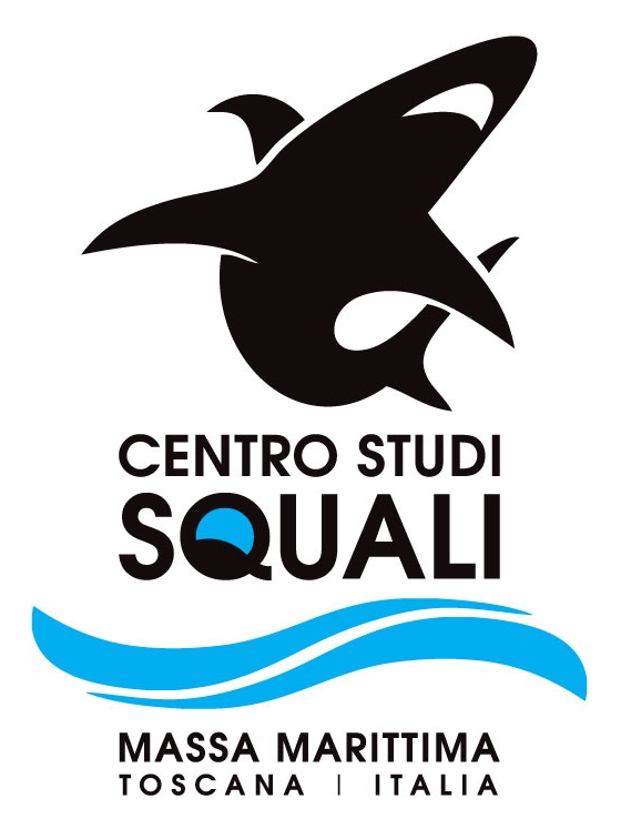 Centro Studi Squali di Massa Marittima Italy